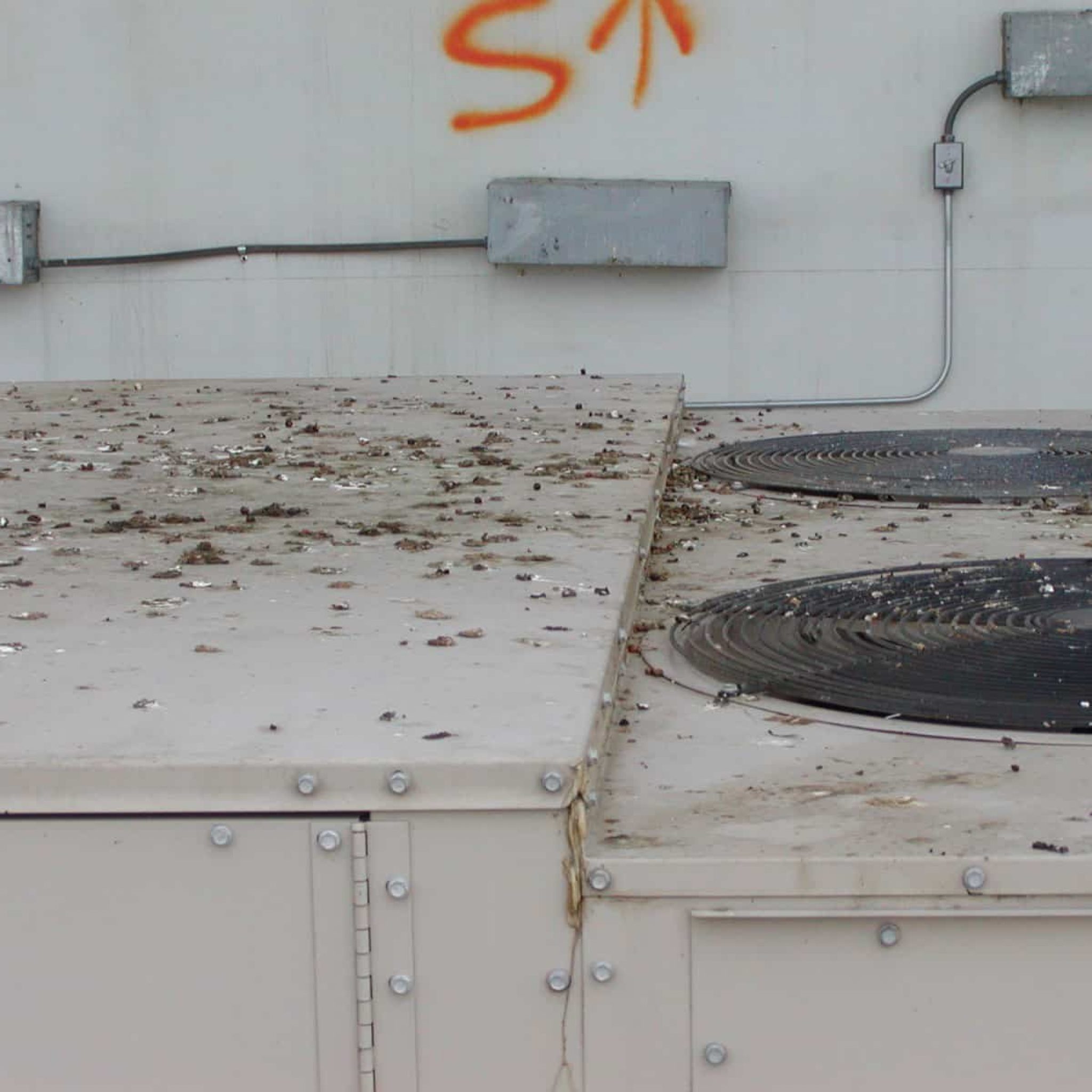 birds-on-hvac-equipment