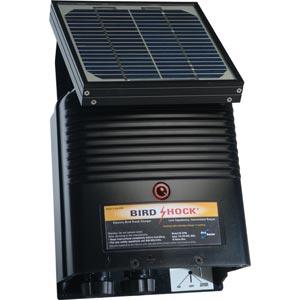 Charger 12V Solar (Small)
