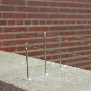 Birdwire Posts for Drilling: 6 inch (100 pack)-0