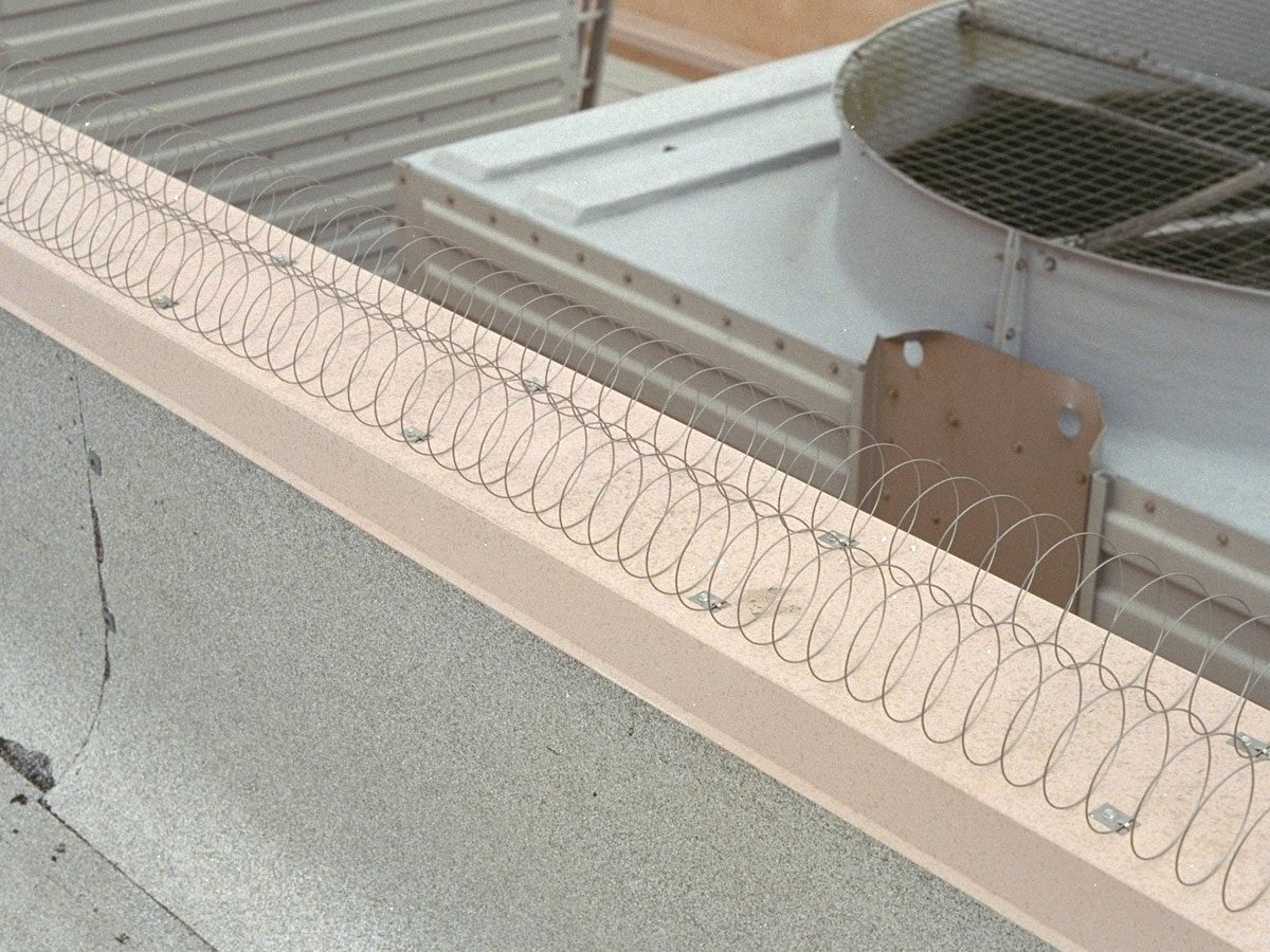 Two Rows of Bird-Coil on a Parapet Cap
