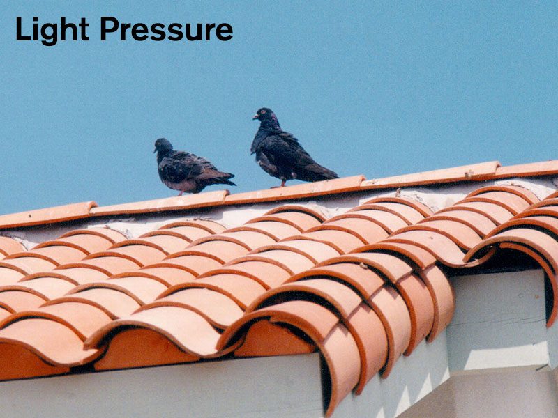 Light Bird Pressure