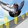 Bird Barrier Optical Gel multi-sensory bird control