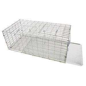 Pigeon Trap Door Large  Bird cages and Pigeon Traps