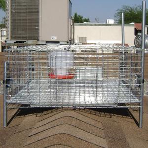 Pigeon Traps: Trap for Slanted Surfaces-0