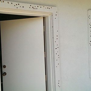 Woodpecker Damage to Wood Door Jamb and Window Frame