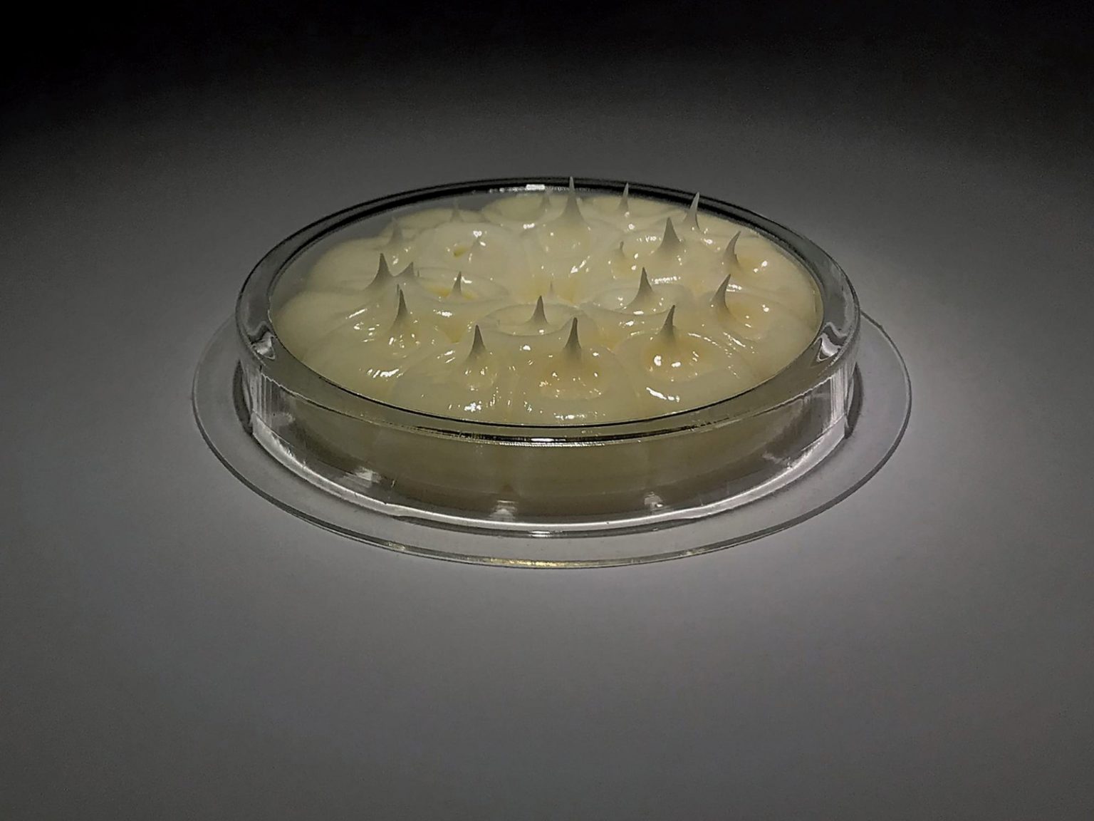 Bird Barrier Optical Gel™ (24 pk) Bird Barrier