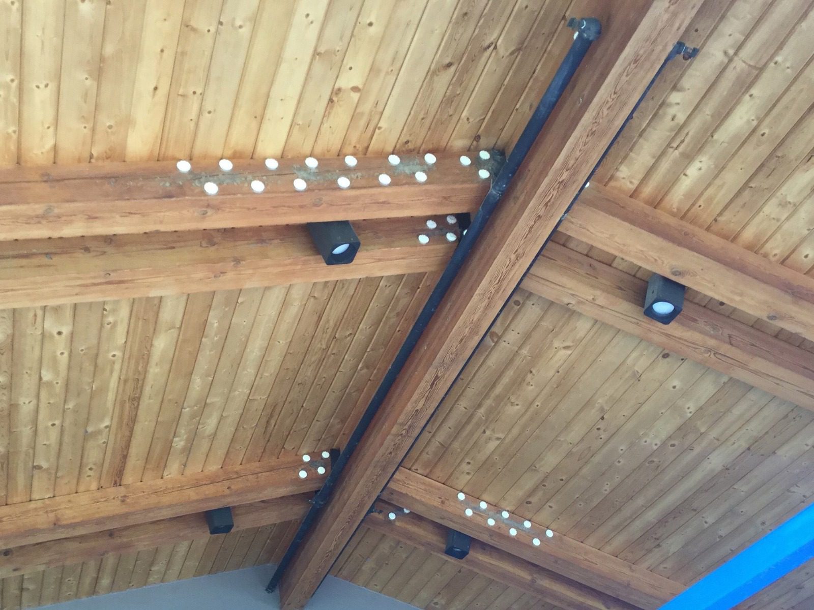 optical gel on wood ceiling for mud swallows