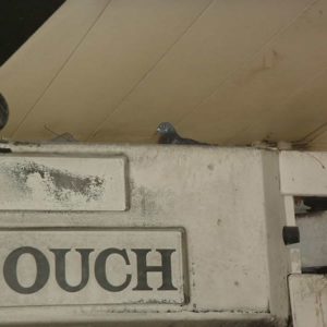 Exclude Sparrows or Other Birds in Protected Nooks