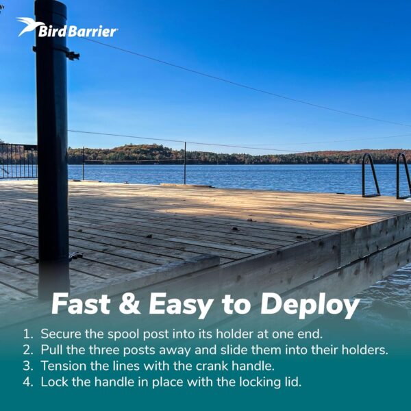 Dock Defense: Keep Birds Away from Your Dock, Boat & Shoreline - Image 3