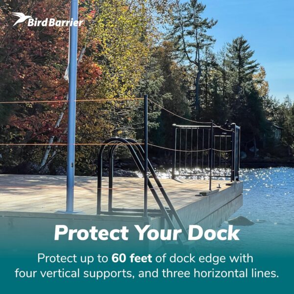 Dock Defense: Keep Birds Away from Your Dock, Boat & Shoreline