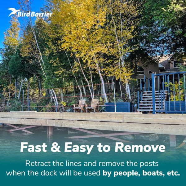 Dock Defense: Keep Birds Away from Your Dock, Boat & Shoreline - Image 4