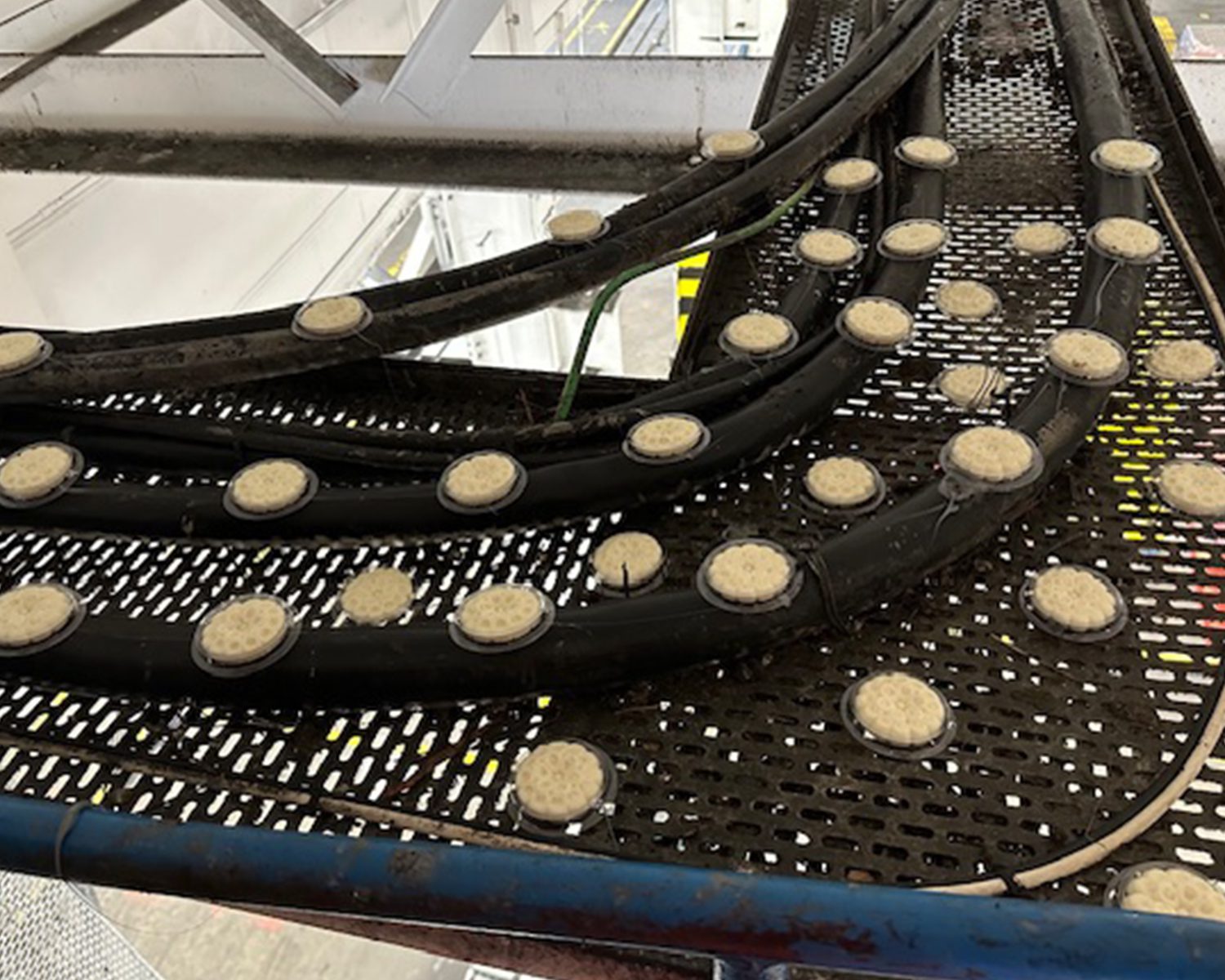 OpticalGel_After_Hangar-2