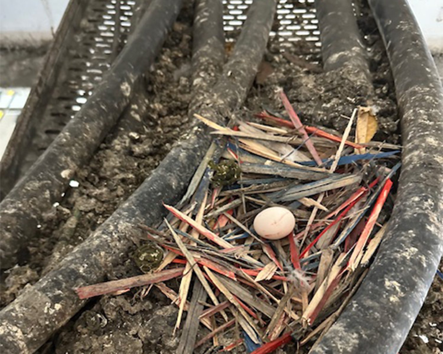 OpticalGel_Before_Hangar-2