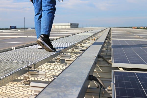 Bird-control-pro-walking-along-a-warehouse-roof-with-solar-panels