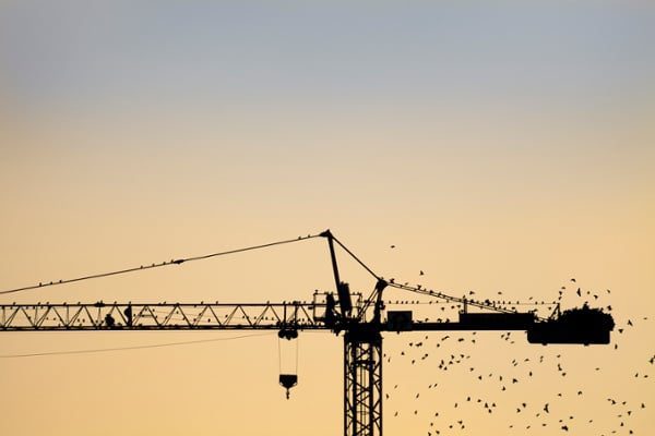 Birds-landing-on-a-crane-during-sunset