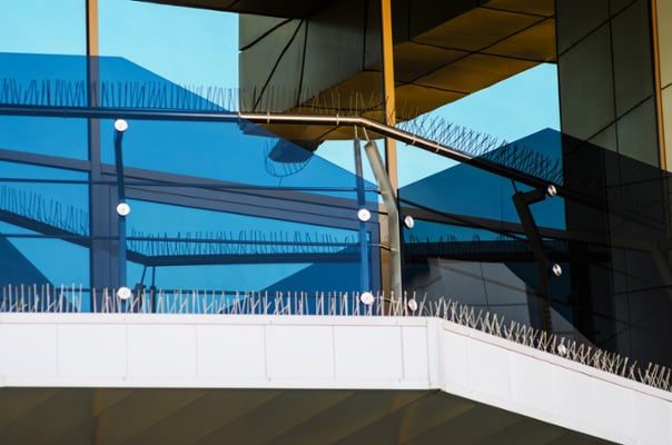 Building-with-bird-deterrent-spikes-to-get-rid-of-birds