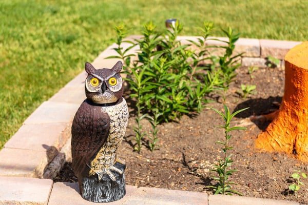 Decoy-owl-in-a-residential-garden