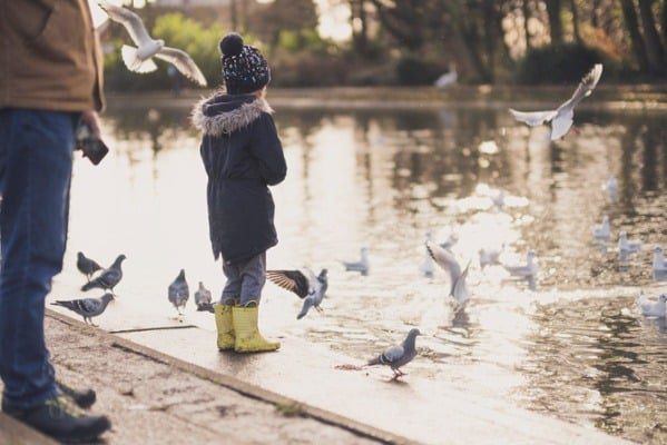 Girl-feeding-pigeons-at-a-park-pond