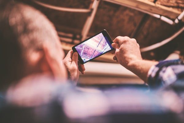 Man-photographing-interior-bird-control-issues
