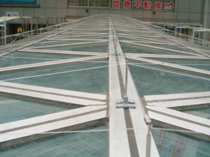 Birdwire slide4