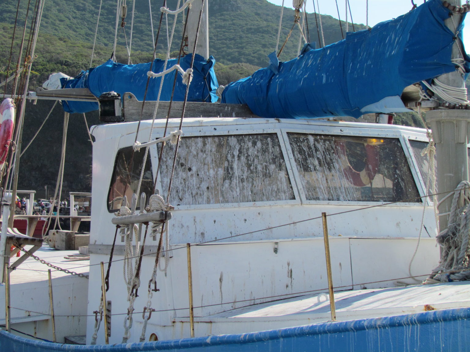 Boat covered in droppings