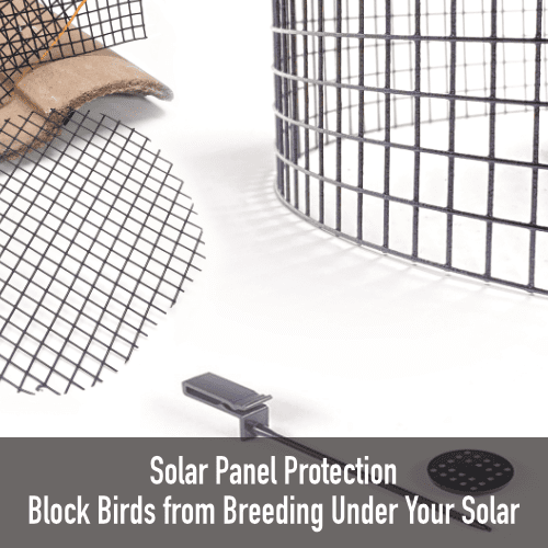 Bird Barrier – Bird Control Products for Pigeons, Woodpeckers & More