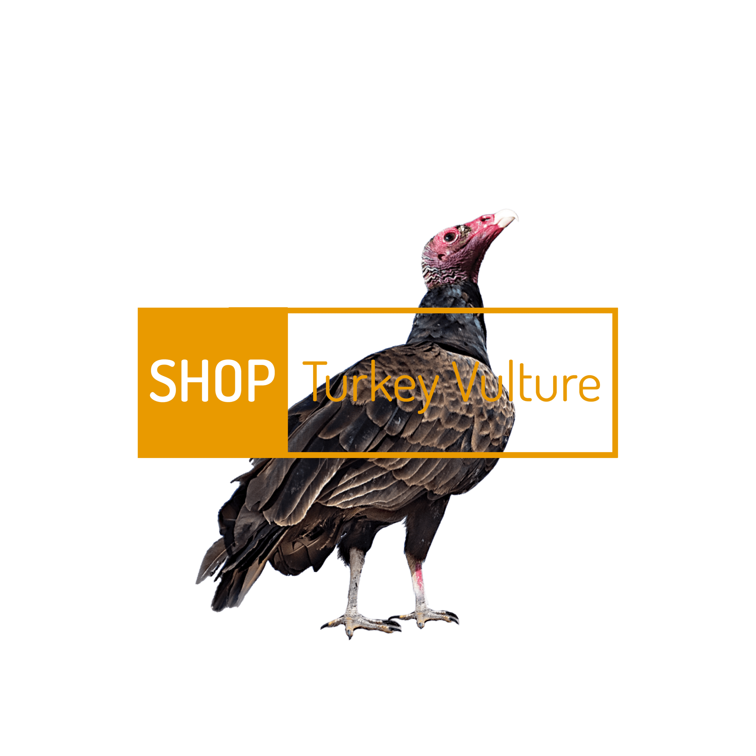 Bird Barrier Bird Control Products for Pigeons, Woodpeckers & More