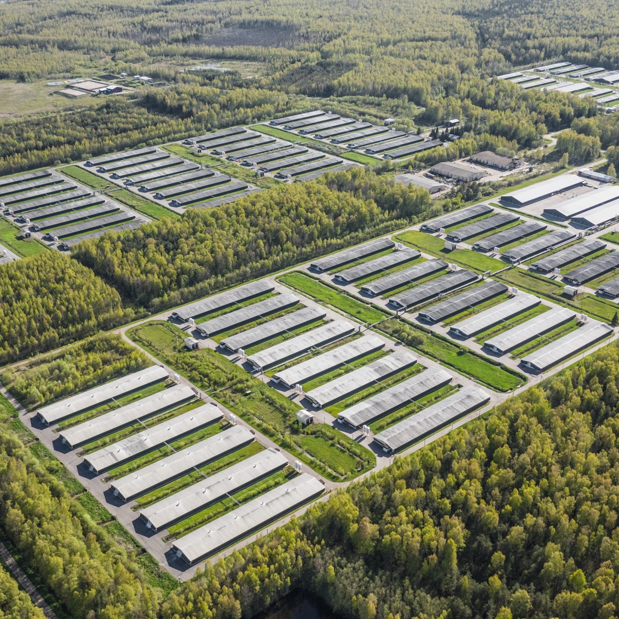 Aerial view of poultry farm