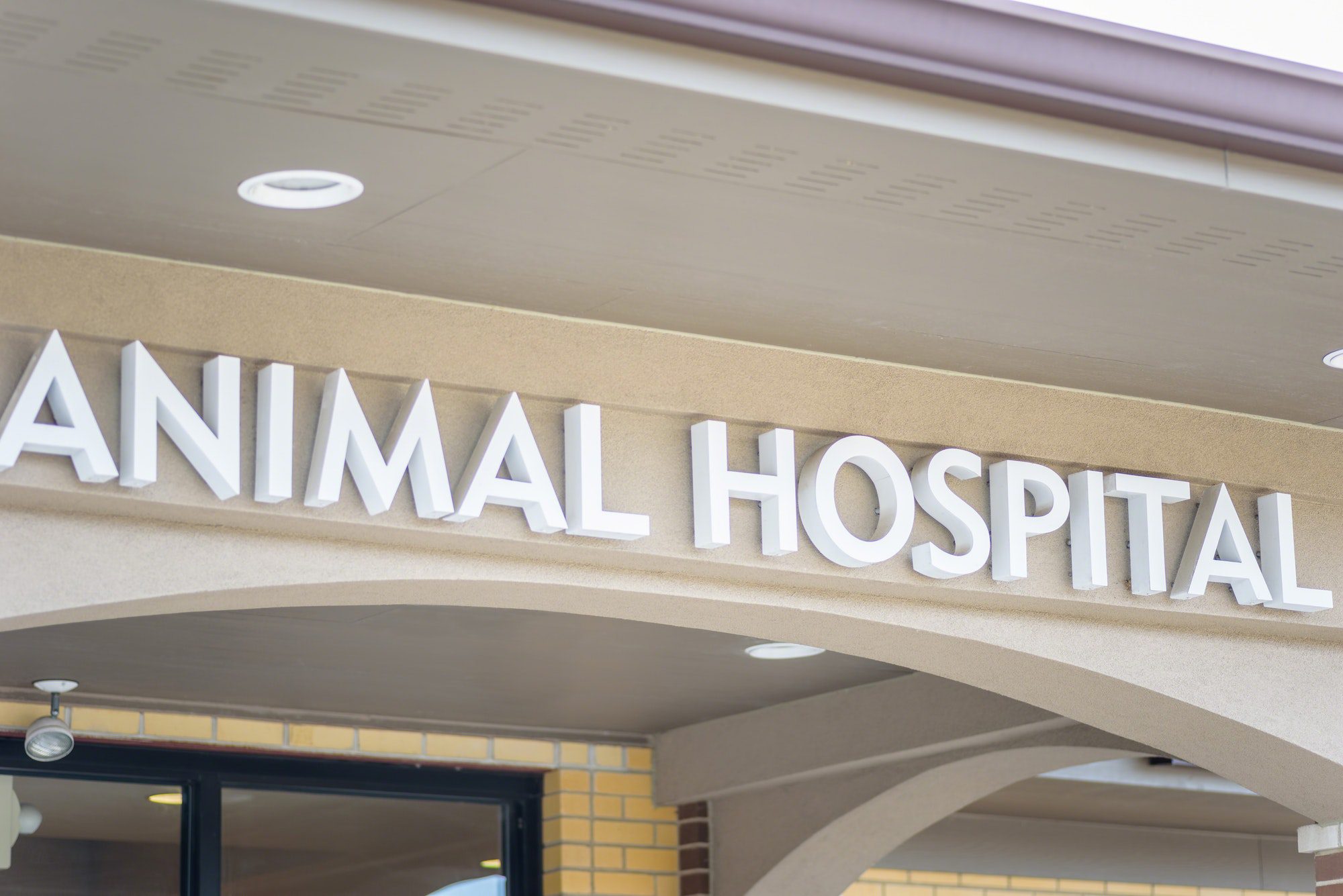 animal-hospital-sign