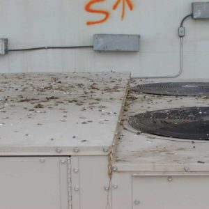 Stop Bird Poop from Entering HVAC Equipment