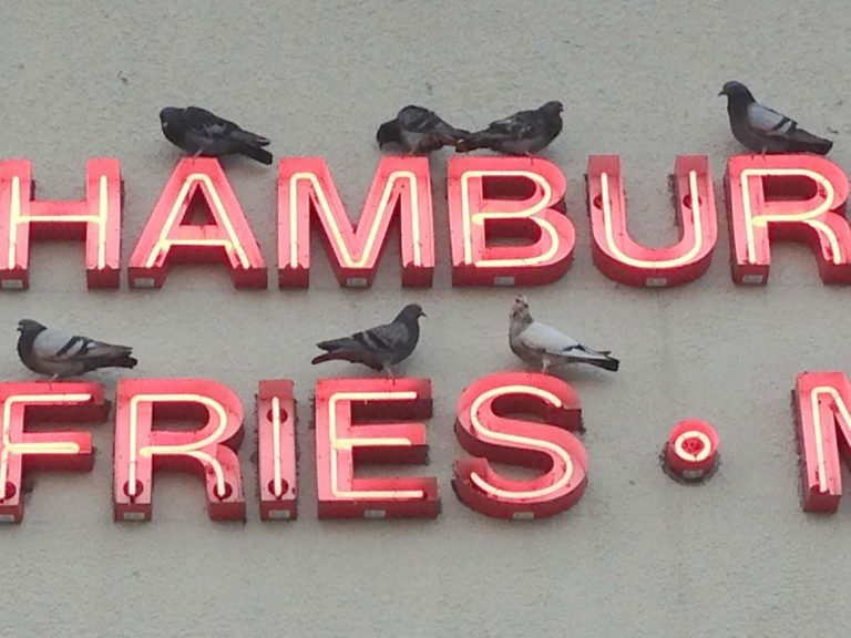 birds-on-sign-letters.jpg