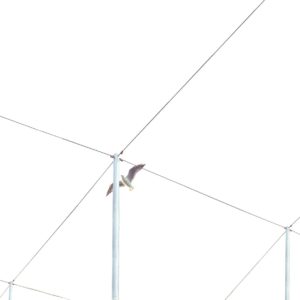 girdwire