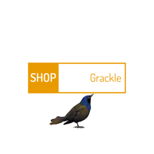 grackle-5.png