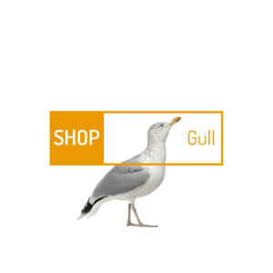 gull-5.png
