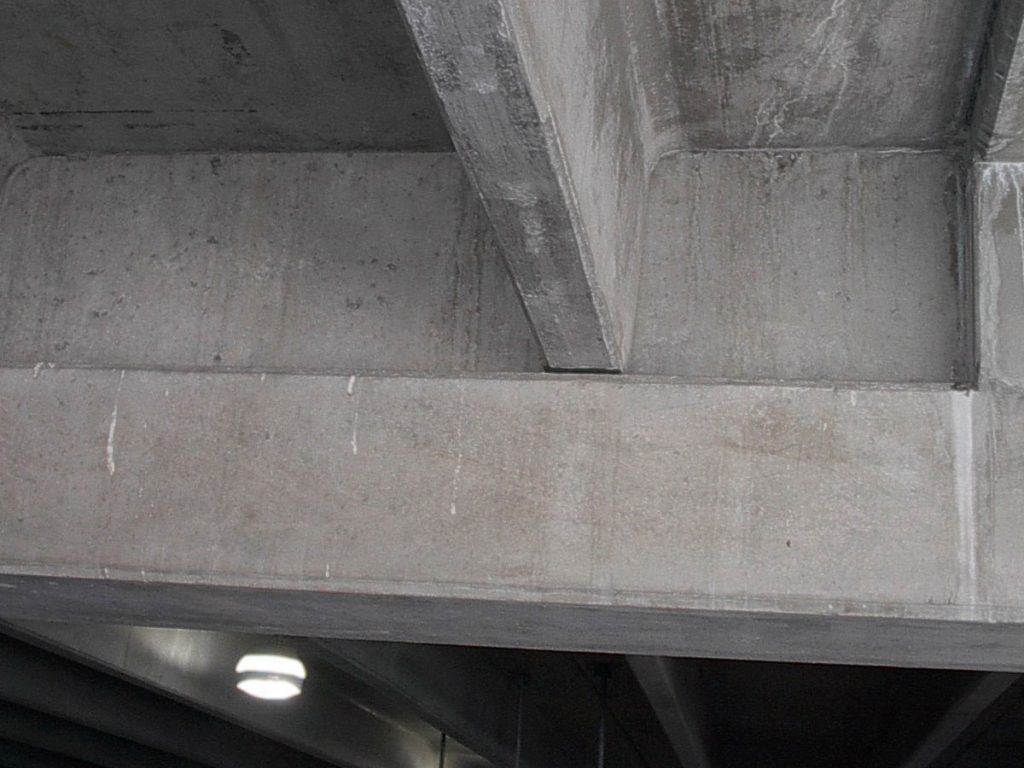 Birds on Parking Lot Ledges 1 problem22