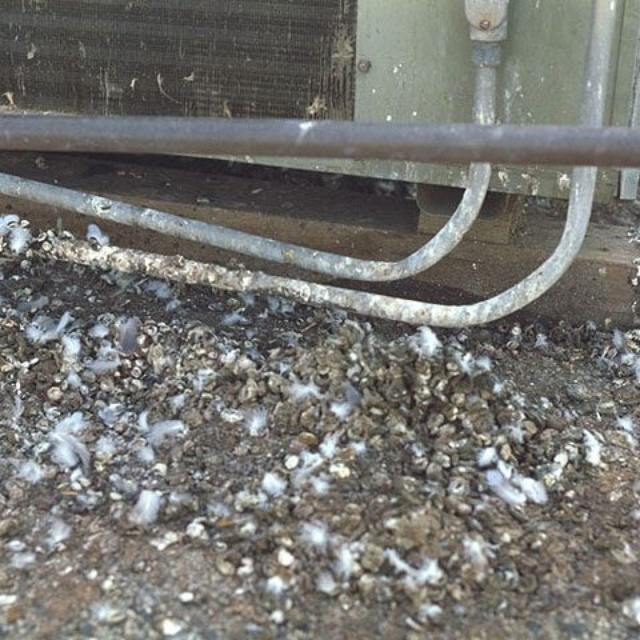rooftop-hvac-feathers