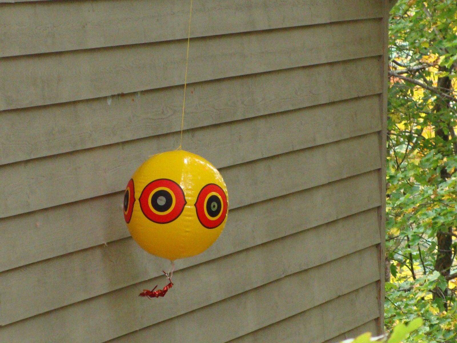 Woodpecker Control Bird Barrier