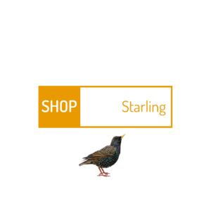 starling-5.png