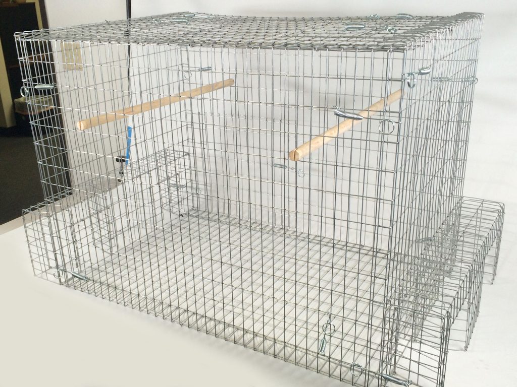 Safeguard Pigeon Trap 1 Compartment Bird Traps in the Animal & Rodent  Control department at