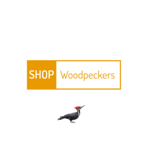 woodpecker-1.png
